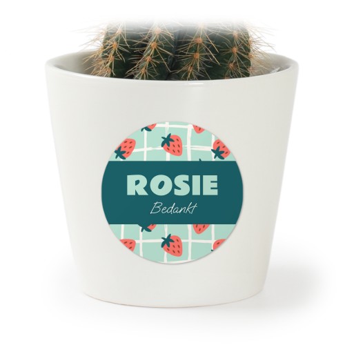 Bloempot met sticker - set van 12
