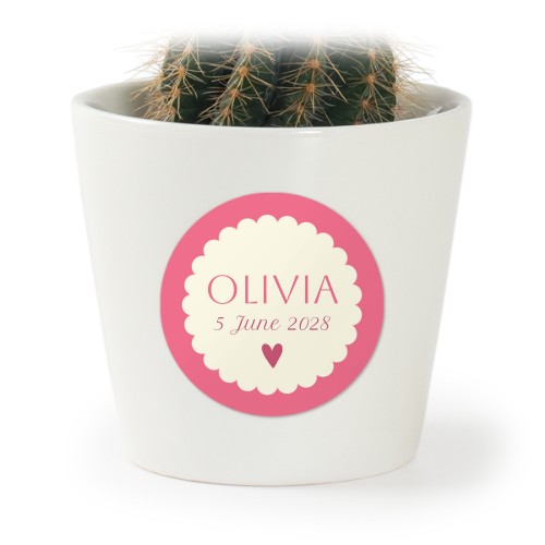 Plant Pot with Sticker - Set of 12