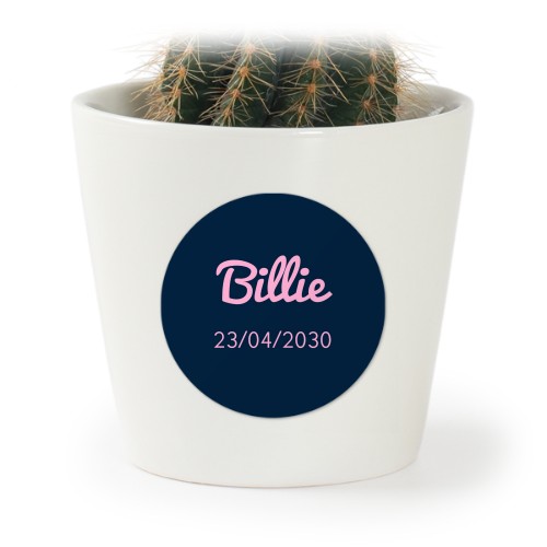 Plant Pot with Sticker - Set of 12
