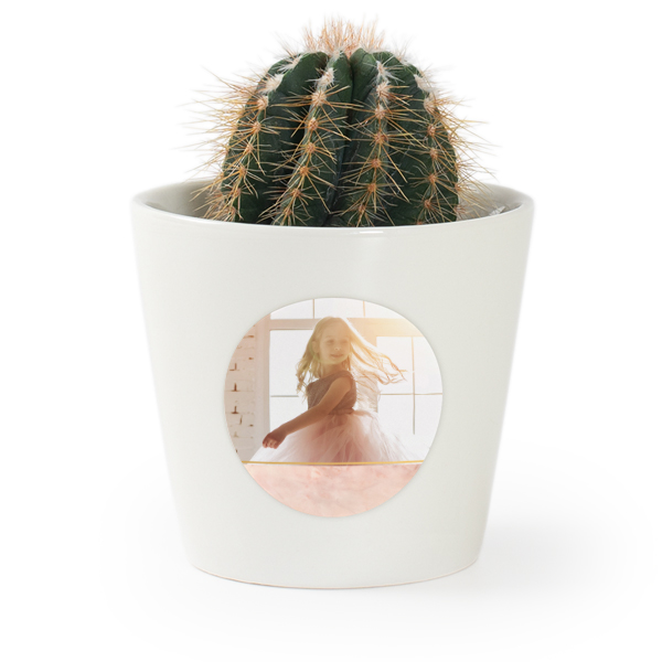 Plant Pot with Sticker - Set of 12 Plant Pot with Sticker - Set of 12