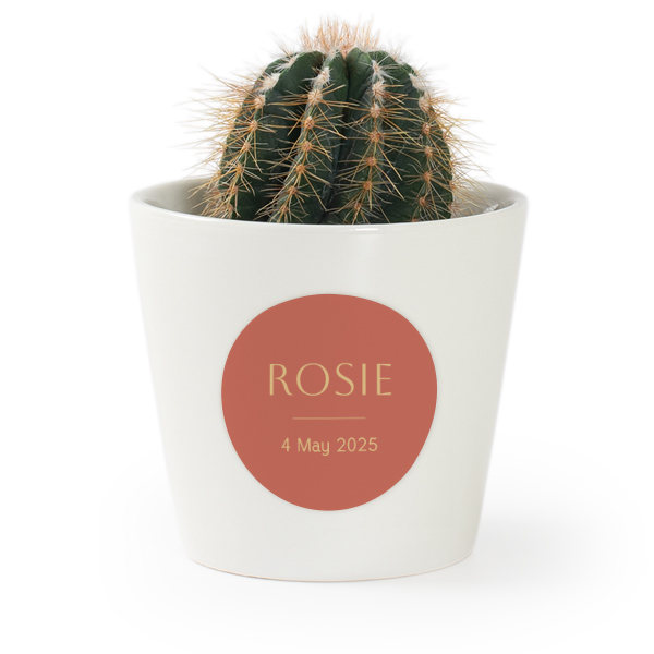 Bloempot met sticker - set van 12 Bloempot met sticker - set van 12
