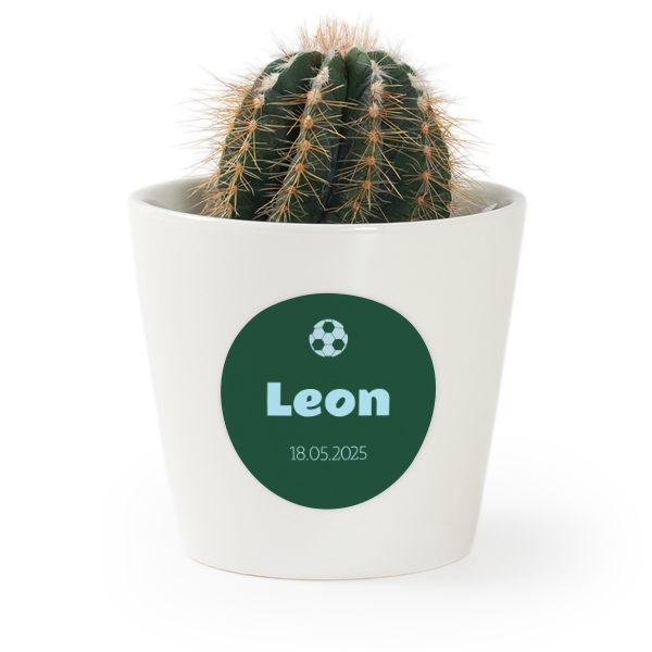 Plant Pot with Sticker - Set of 12 Plant Pot with Sticker - Set of 12
