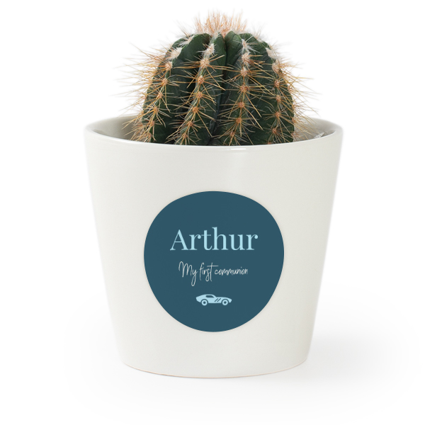 Pot de fleurs avec autocollant - lot de 12