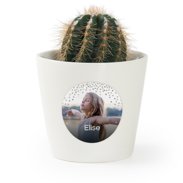 Flower pot with sticker - set of 12