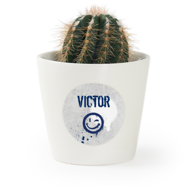 Plant Pot with Sticker - Set of 12