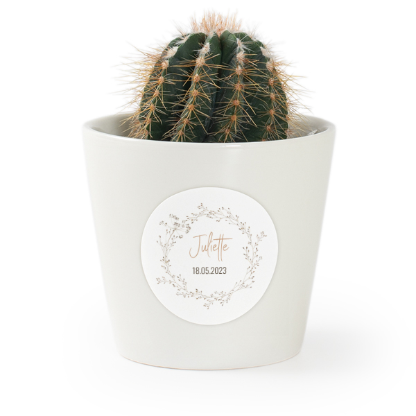 Plant Pot with Sticker - Set of 12 Plant Pot with Sticker - Set of 12