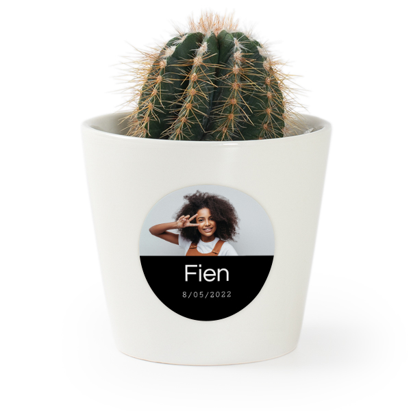 Plant Pot with Sticker - Set of 12 Plant Pot with Sticker - Set of 12