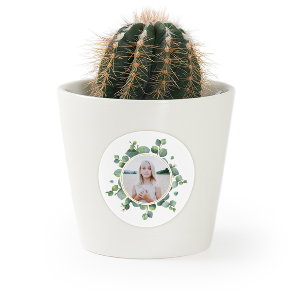 Plant Pot with Sticker - Set of 12 Plant Pot with Sticker - Set of 12