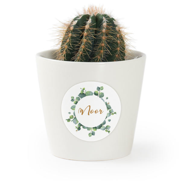 Flower pot with sticker - set of 12