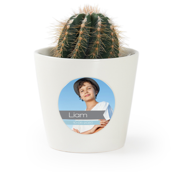 Plant Pot with Sticker - Set of 12