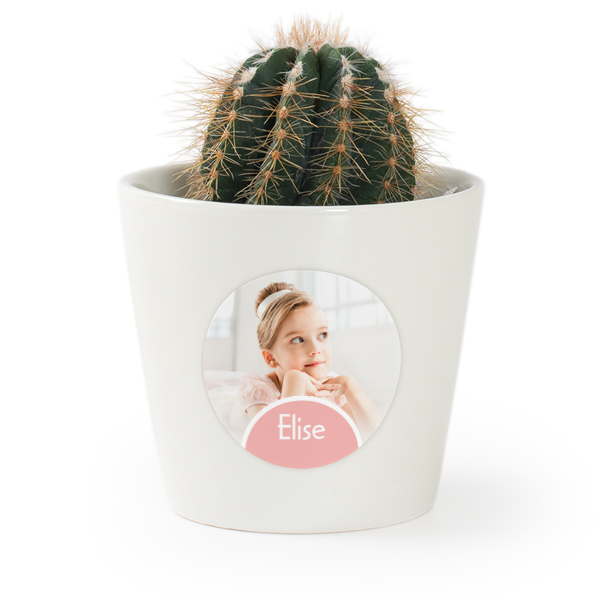 Flower pot with sticker - set of 12