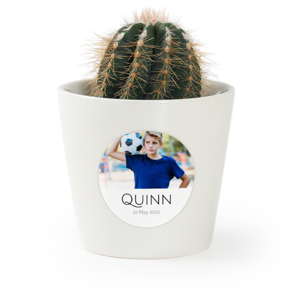 Plant Pot with Sticker - Set of 12 Plant Pot with Sticker - Set of 12
