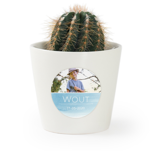 Paintstroke Paintstroke