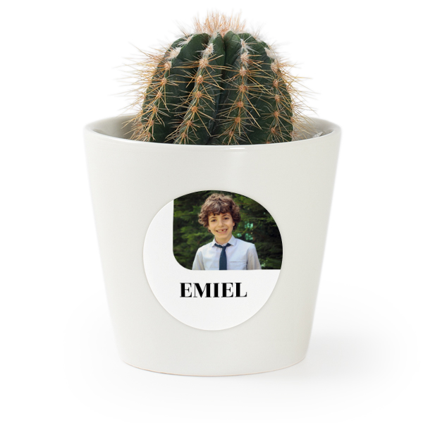 Pot de fleurs avec autocollant - lot de 12
