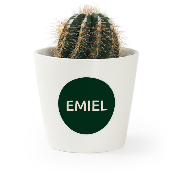 Plant Pot with Sticker - Set of 12 Plant Pot with Sticker - Set of 12