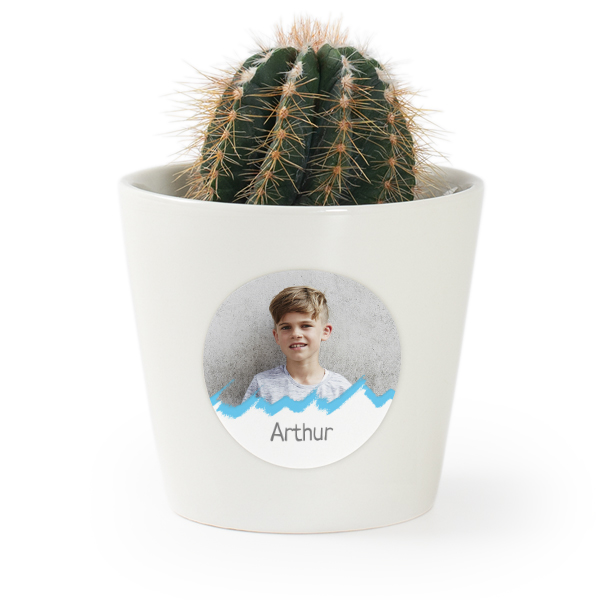 Plant Pot with Sticker - Set of 12 Plant Pot with Sticker - Set of 12