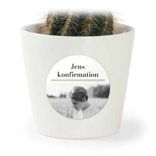 Classic Press Style Classic Press Style