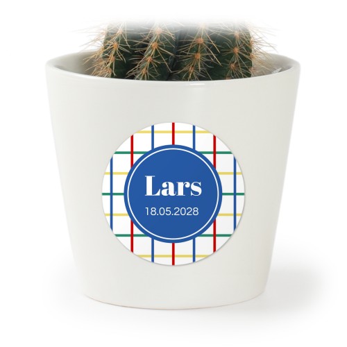 Colorful Grid - Text Only