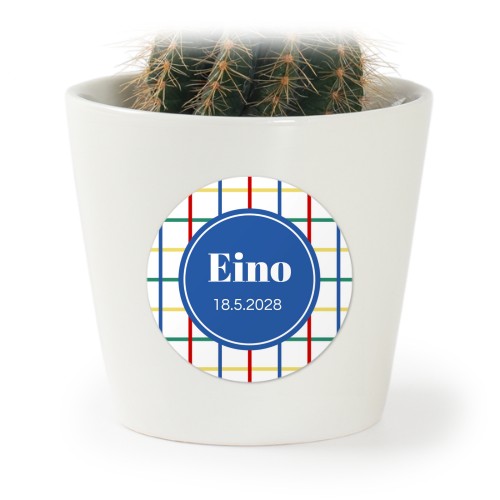 Colorful Grid - Text Only Colorful Grid - Text Only