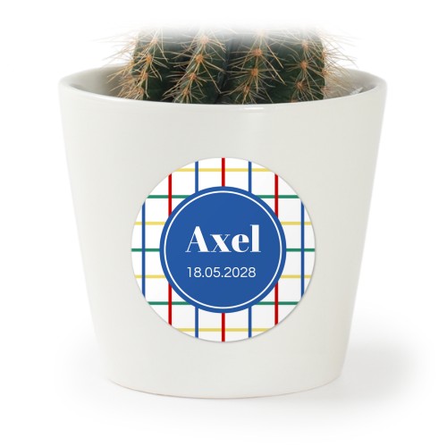 Colorful Grid - Text Only