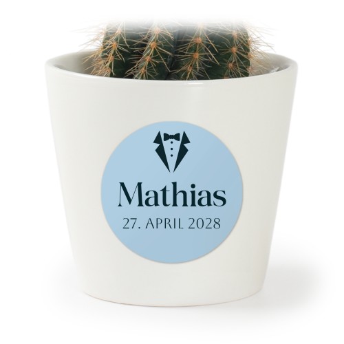 Blomsterpotte med klistremerke - sett med 12 stk Blomsterpotte med klistremerke - sett med 12 stk