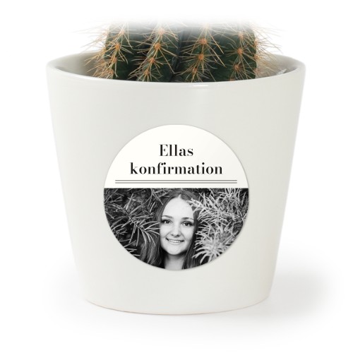 Classic Press Style Classic Press Style