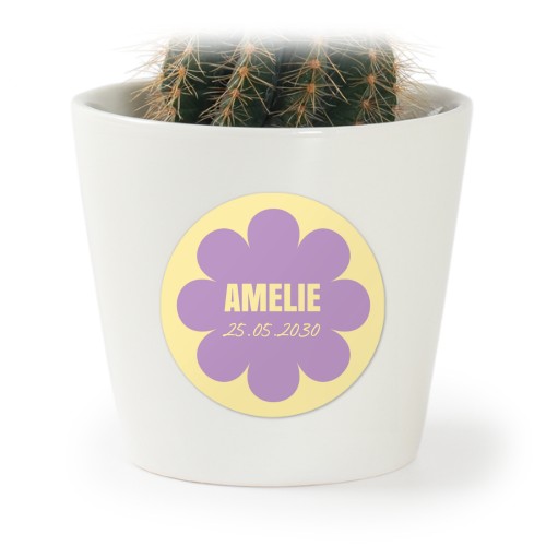 giftsticker_daisyshapelila