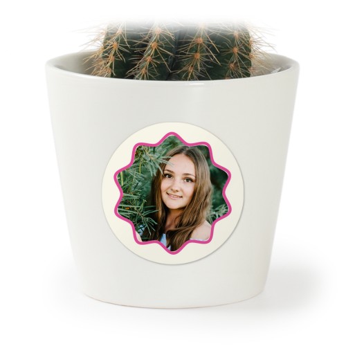 Soft Wave Frame Soft Wave Frame