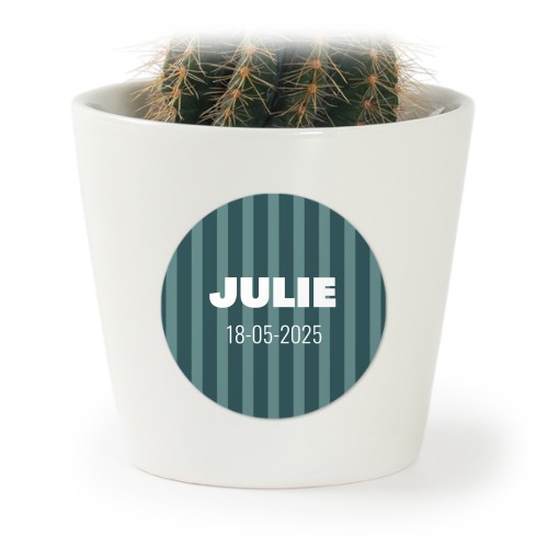 Striped Arch Shape Striped Arch Shape