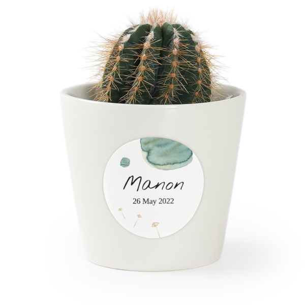 Plant Pot with Sticker - Set of 12 Plant Pot with Sticker - Set of 12