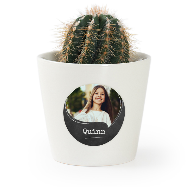 Plant Pot with Sticker - Set of 12