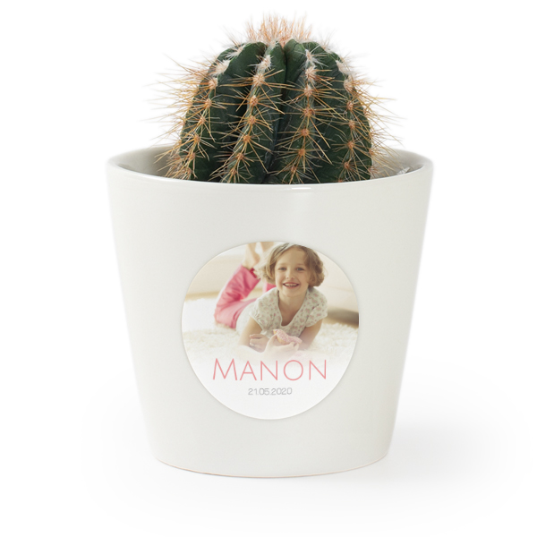 Flower pot with sticker - set of 12