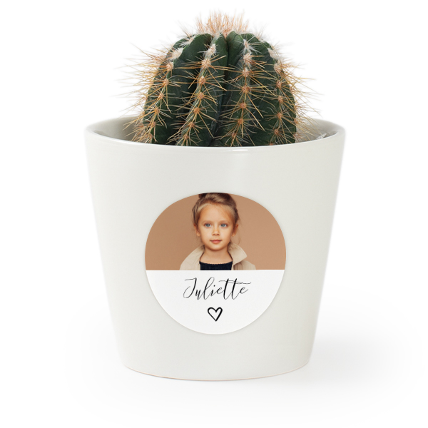 Bloempot met sticker - set van 12 Bloempot met sticker - set van 12