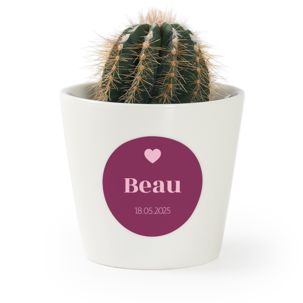 Plant Pot with Sticker - Set of 12