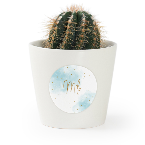 Pot de fleurs avec autocollant - lot de 12 Pot de fleurs avec autocollant - lot de 12