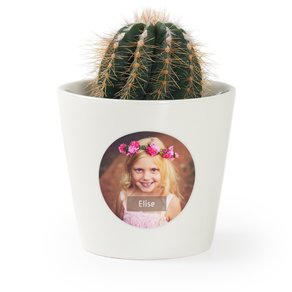 Blomsterpotte med klistremerke - sett med 12 stk