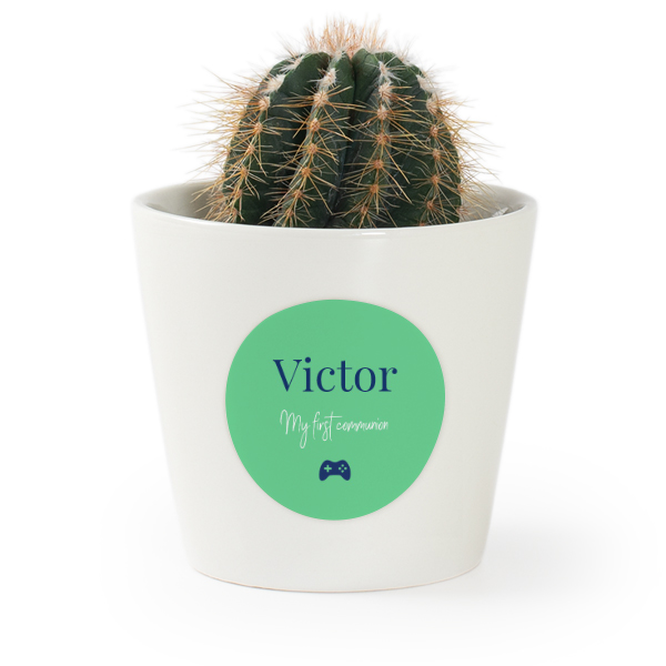 Plant Pot with Sticker - Set of 12 Plant Pot with Sticker - Set of 12