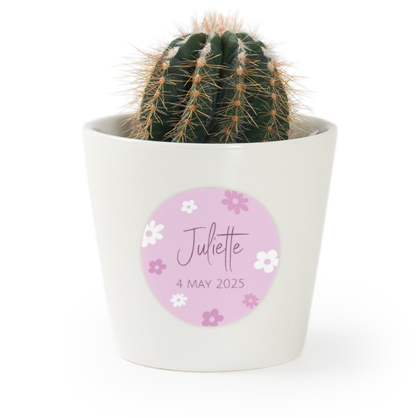 Plant Pot with Sticker - Set of 12 Plant Pot with Sticker - Set of 12