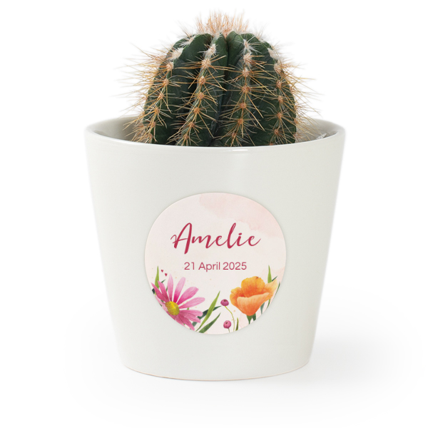 Bloempot met sticker - set van 12