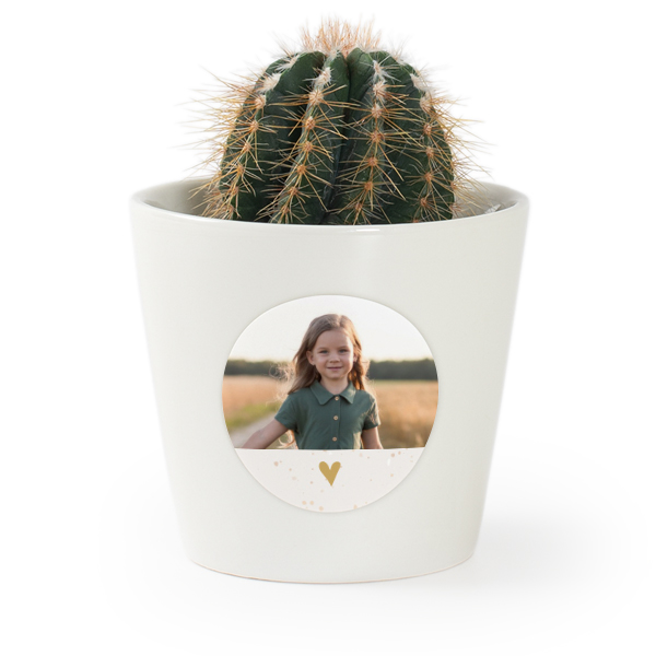 Plant Pot with Sticker - Set of 12