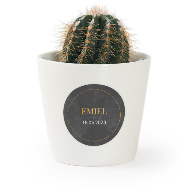 Bloempot met sticker - set van 12 Bloempot met sticker - set van 12