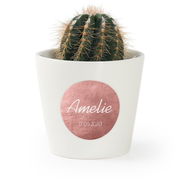 Blomkruka med klistermärke - set med 12 st