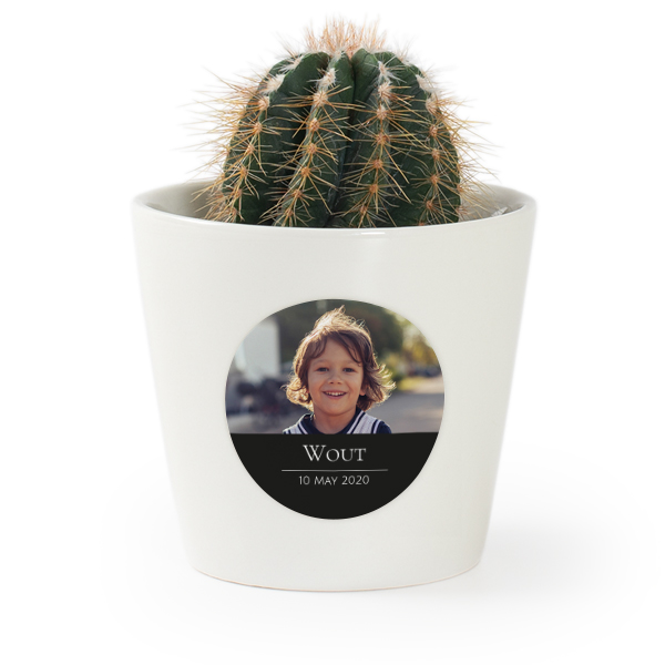 Bloempot met sticker - set van 12 Bloempot met sticker - set van 12