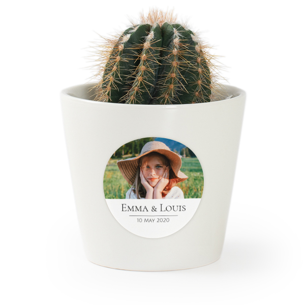 Bloempot met sticker - set van 12 Bloempot met sticker - set van 12