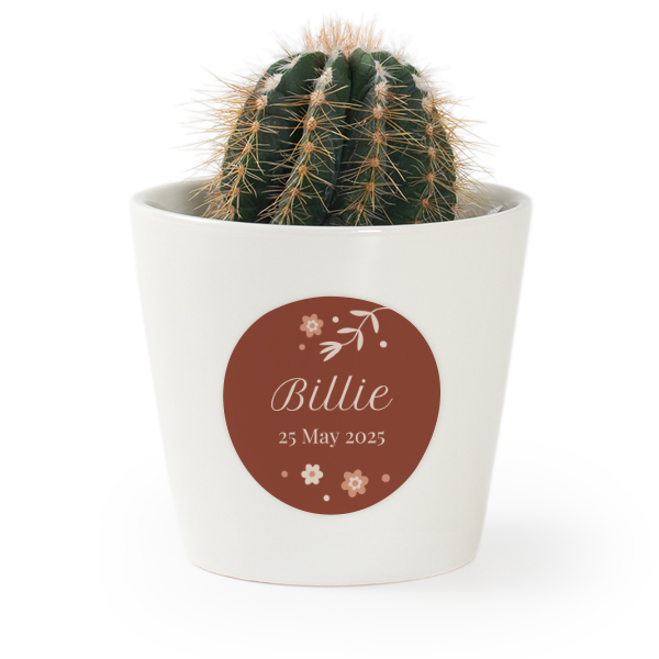 Plant Pot with Sticker - Set of 12