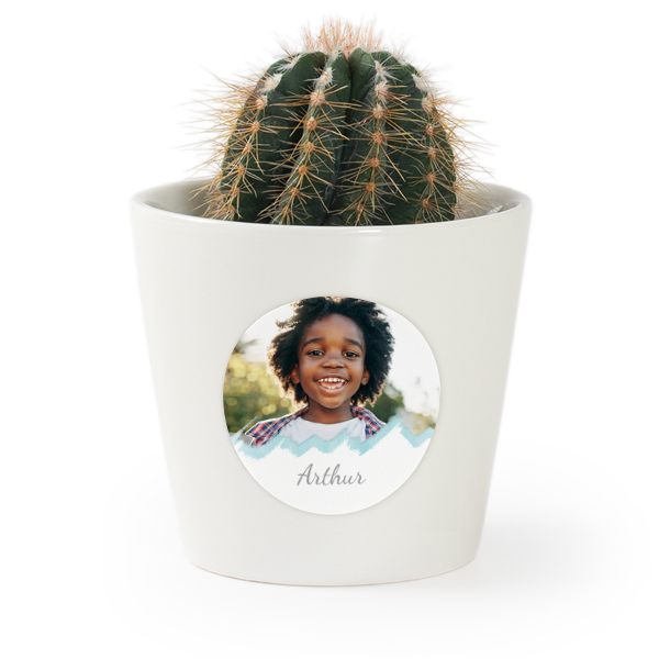 Bloempot met sticker - set van 12 Bloempot met sticker - set van 12