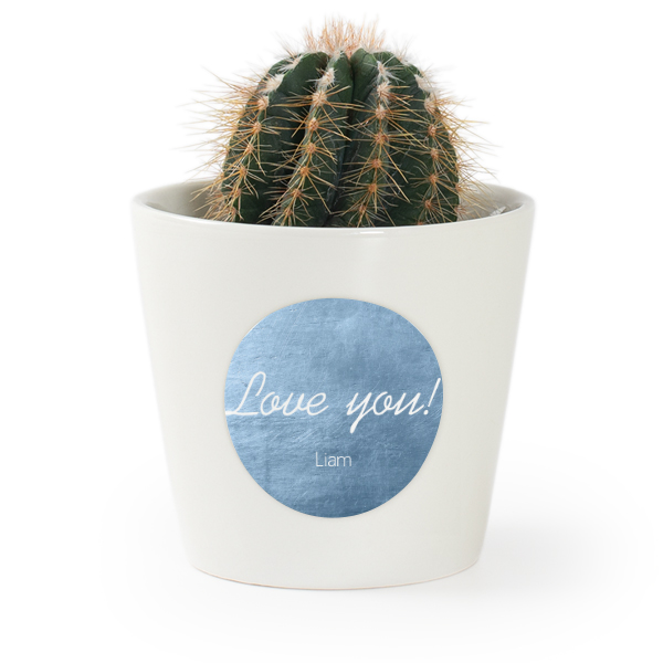 Abgerundete Ecken und metallischer Hintergrund