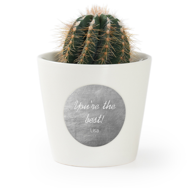 Rounded Corners and Metallic Background Rounded Corners and Metallic Background