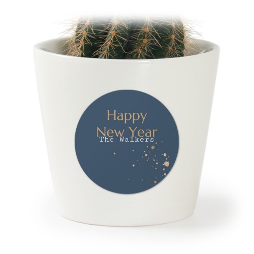 Gold Sparkles Party Gold Sparkles Party