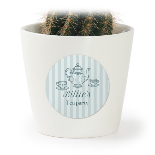 Blomsterpotte med klistremerke - sett med 12 stk